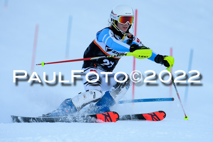 FIS Slalom Damen + Herren, ATA, 16.01.2022