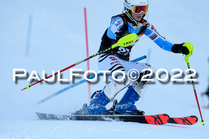 FIS Slalom Damen + Herren, ATA, 16.01.2022