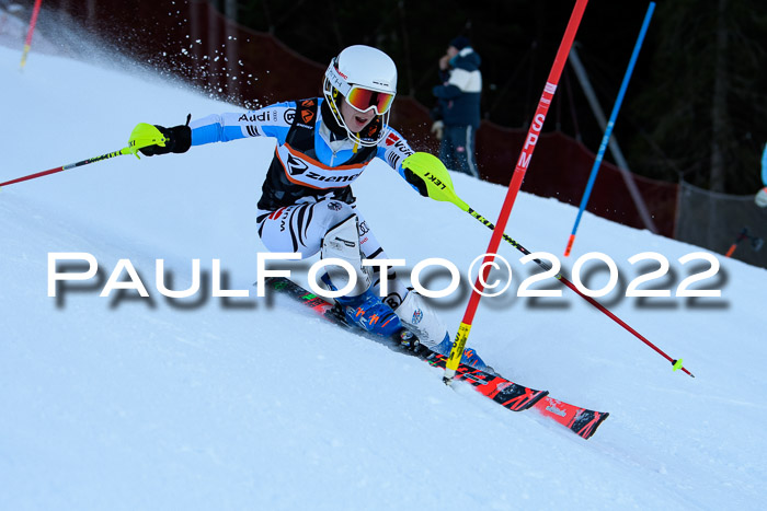 FIS Slalom Damen + Herren, ATA, 16.01.2022