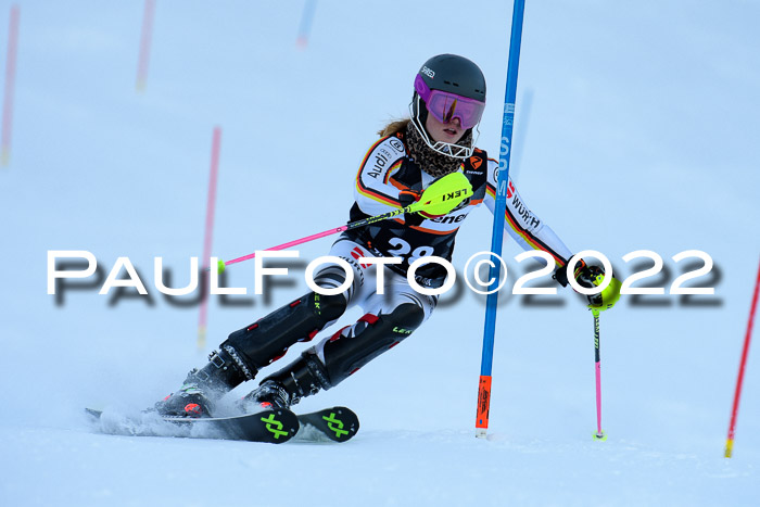 FIS Slalom Damen + Herren, ATA, 16.01.2022