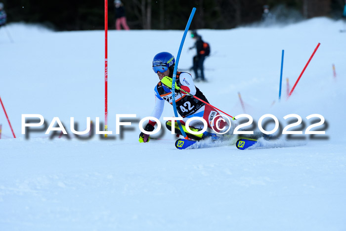 FIS Slalom Damen + Herren, ATA, 16.01.2022