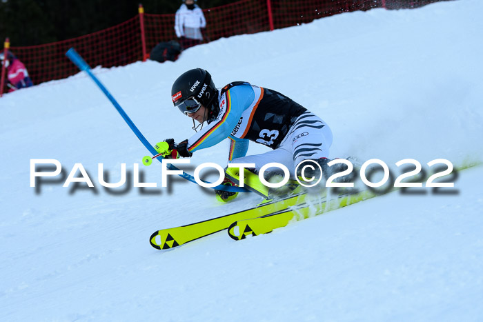 FIS Slalom Damen + Herren, ATA, 16.01.2022