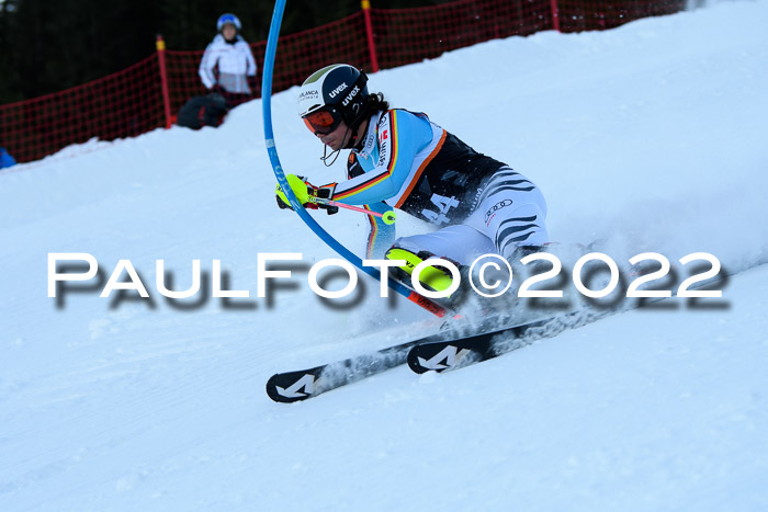 FIS Slalom Damen + Herren, ATA, 16.01.2022