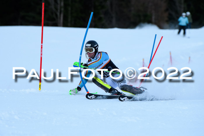 FIS Slalom Damen + Herren, ATA, 16.01.2022