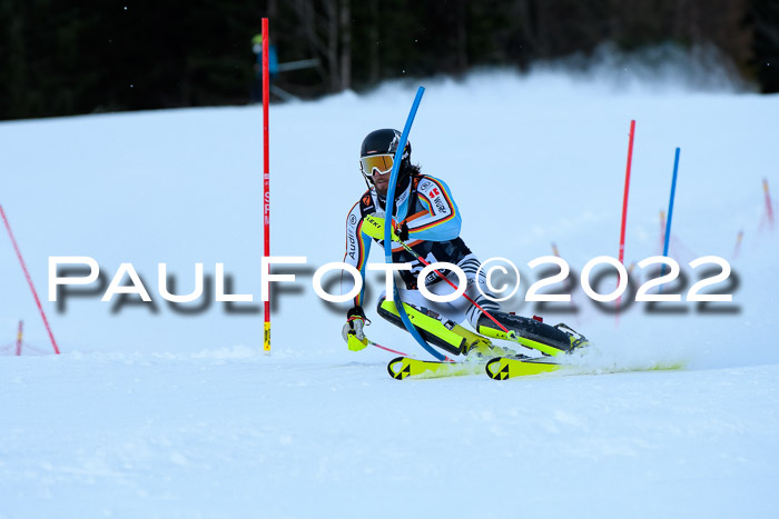 FIS Slalom Damen + Herren, ATA, 16.01.2022