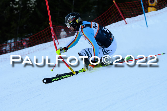 FIS Slalom Damen + Herren, ATA, 16.01.2022