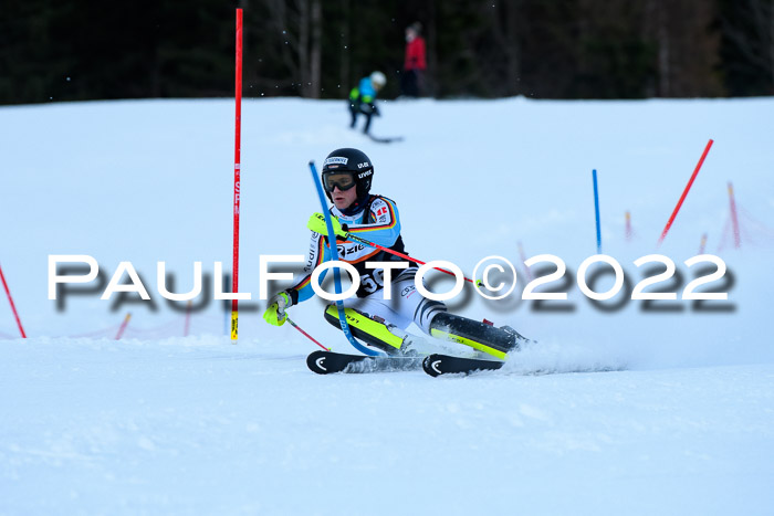 FIS Slalom Damen + Herren, ATA, 16.01.2022