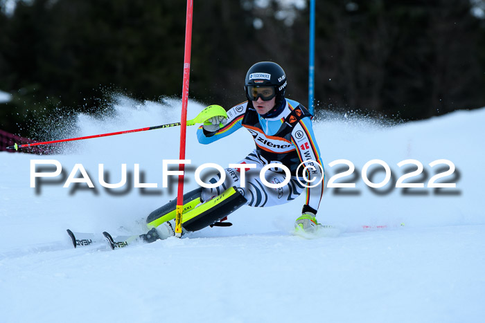 FIS Slalom Damen + Herren, ATA, 16.01.2022