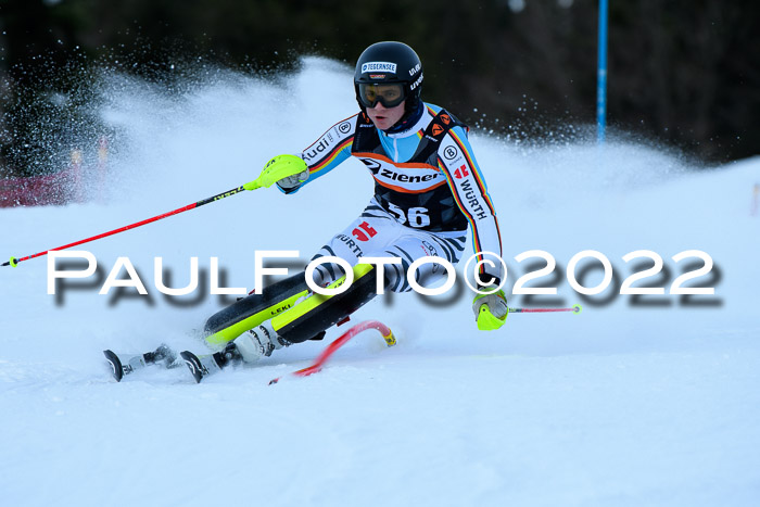 FIS Slalom Damen + Herren, ATA, 16.01.2022