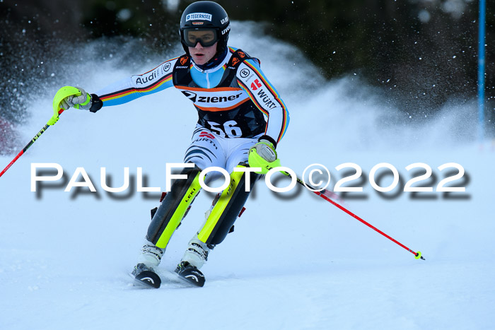 FIS Slalom Damen + Herren, ATA, 16.01.2022