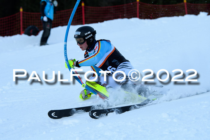 FIS Slalom Damen + Herren, ATA, 16.01.2022