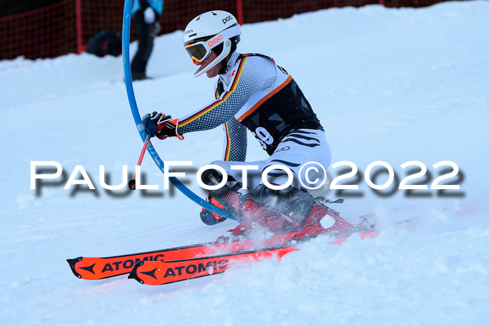 FIS Slalom Damen + Herren, ATA, 16.01.2022