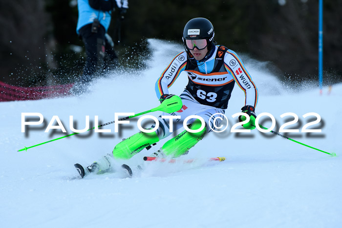 FIS Slalom Damen + Herren, ATA, 16.01.2022