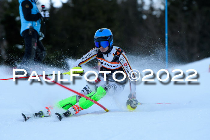 FIS Slalom Damen + Herren, ATA, 16.01.2022