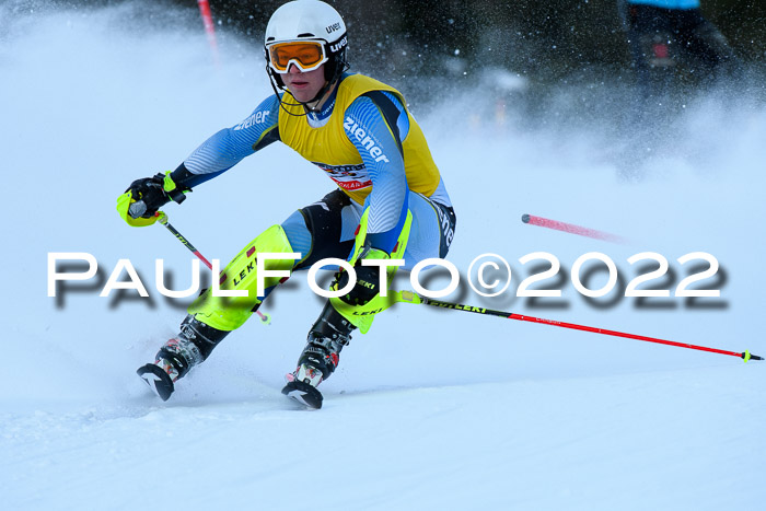 FIS Slalom Damen + Herren, ATA, 16.01.2022