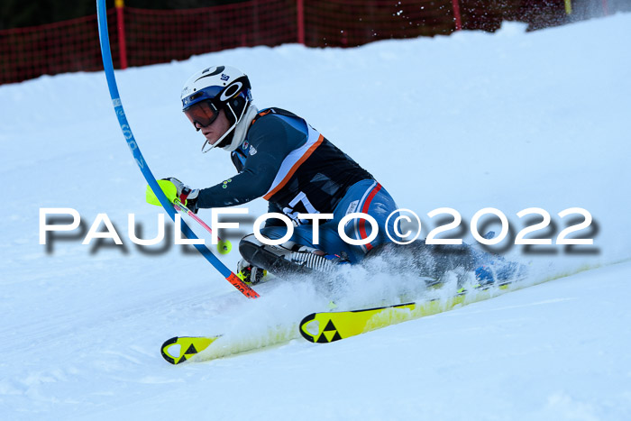 FIS Slalom Damen + Herren, ATA, 16.01.2022