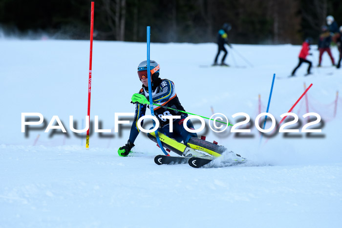 FIS Slalom Damen + Herren, ATA, 16.01.2022