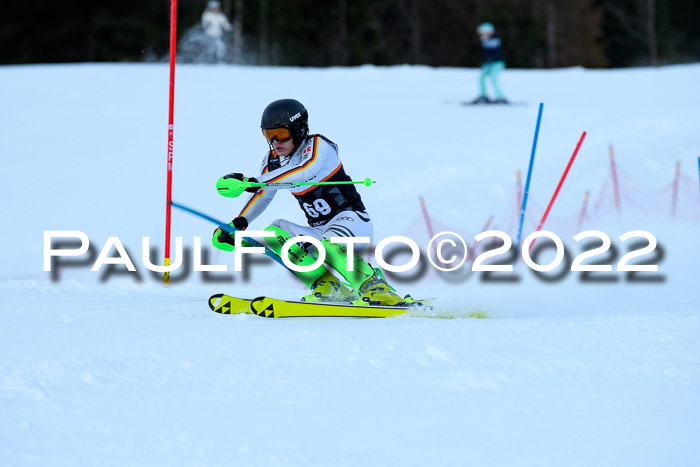 FIS Slalom Damen + Herren, ATA, 16.01.2022