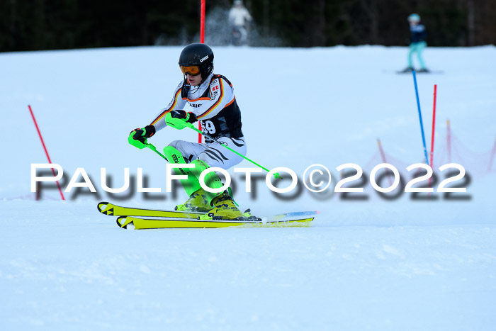 FIS Slalom Damen + Herren, ATA, 16.01.2022