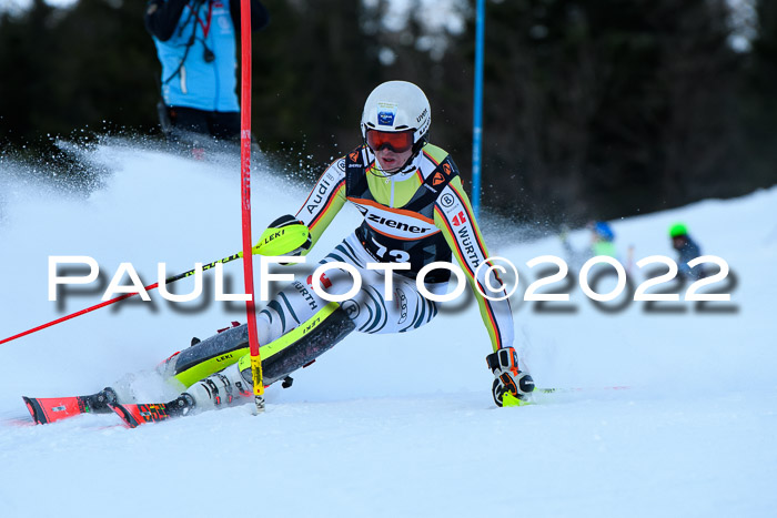 FIS Slalom Damen + Herren, ATA, 16.01.2022