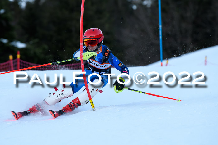 FIS Slalom Damen + Herren, ATA, 16.01.2022