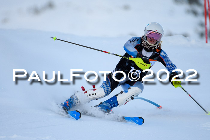 FIS Slalom Damen + Herren, ATA, 16.01.2022