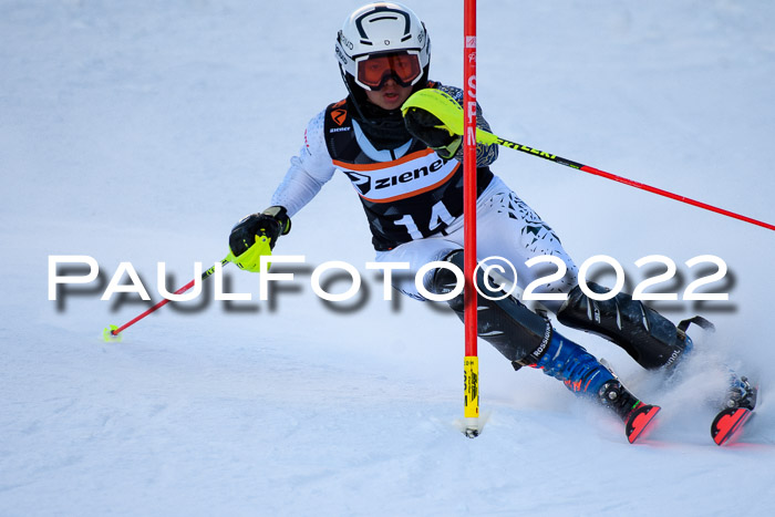 FIS Slalom Damen + Herren, ATA, 16.01.2022