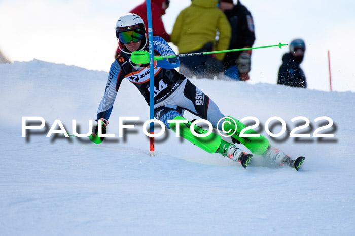 FIS Slalom Damen + Herren, ATA, 16.01.2022