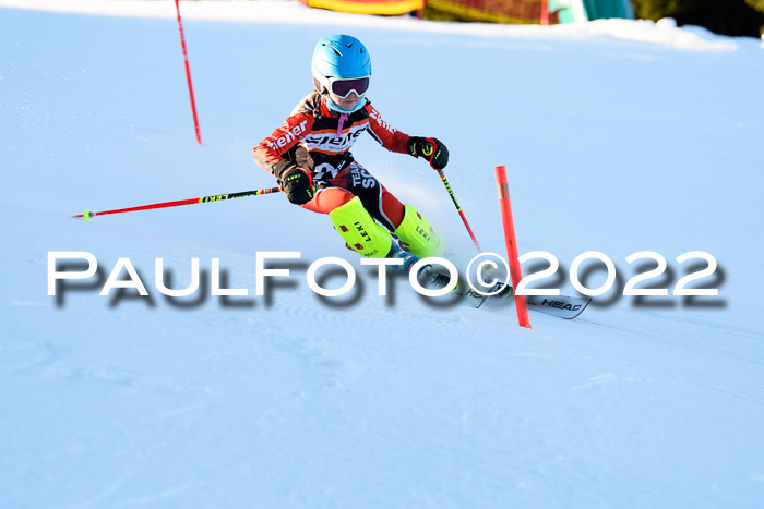 1. + 2. Ziener Cup WF, U8 - U10, 16.01.2022