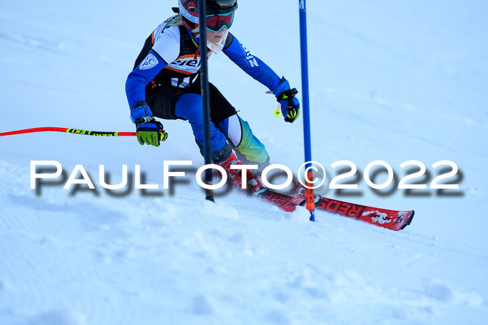 1. + 2. Ziener Cup WF, U8 - U10, 16.01.2022