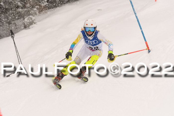 BSV Skiliga Bayern Rennen 22.01.2022