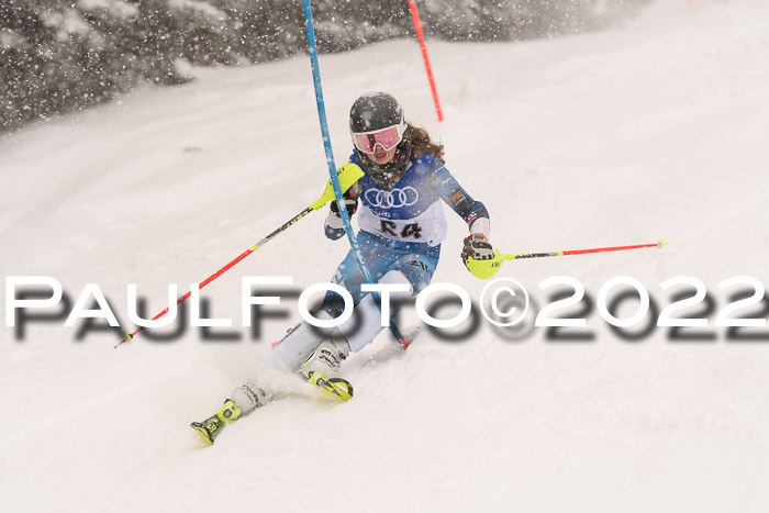 BSV Skiliga Bayern Rennen 22.01.2022