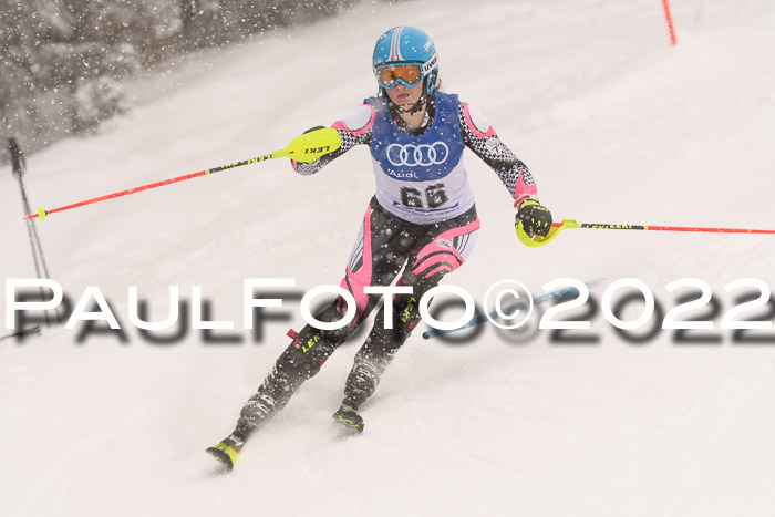 BSV Skiliga Bayern Rennen 22.01.2022