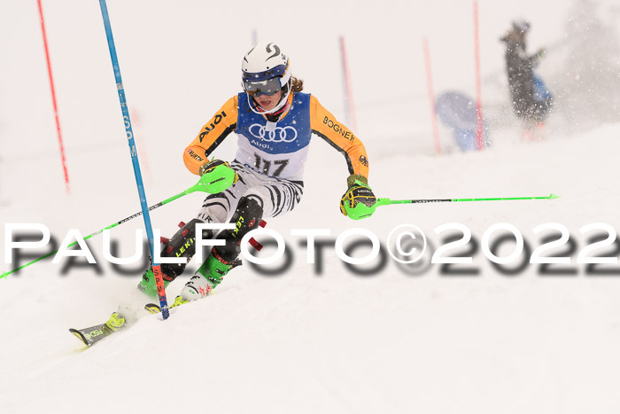 BSV Skiliga Bayern Rennen 22.01.2022