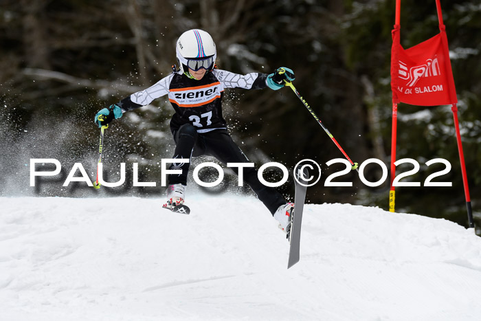 BSV Ziener Kids Cross Rennen 1 Region 3  U12 + ASV Reischmann Cup U12