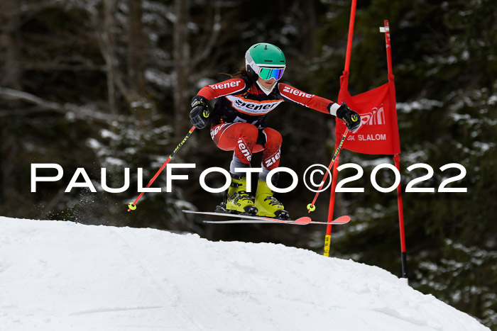 BSV Ziener Kids Cross Rennen 1 Region 3  U12 + ASV Reischmann Cup U12