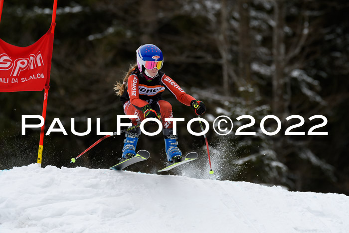 BSV Ziener Kids Cross Rennen 1 Region 3  U12 + ASV Reischmann Cup U12