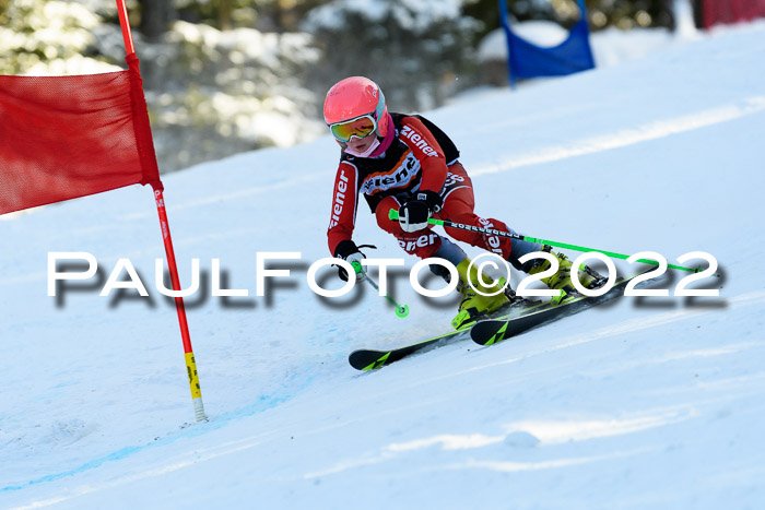 BSV Ziener Kids Cross Rennen 1 Region 3  U12 + ASV Reischmann Cup U12