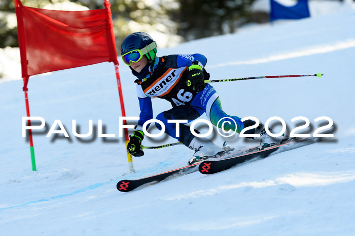 BSV Ziener Kids Cross Rennen 1 Region 3  U12 + ASV Reischmann Cup U12