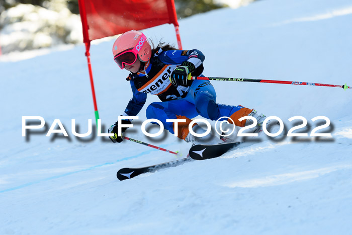 BSV Ziener Kids Cross Rennen 1 Region 3  U12 + ASV Reischmann Cup U12