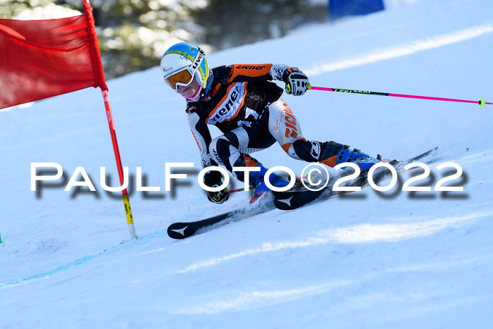 BSV Ziener Kids Cross Rennen 1 Region 3  U12 + ASV Reischmann Cup U12