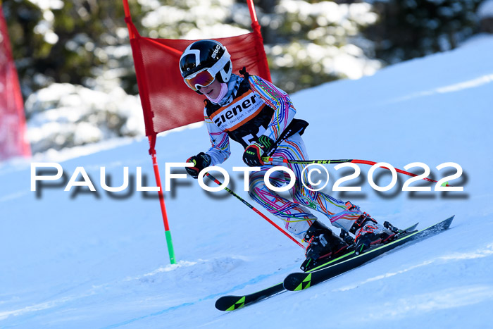 BSV Ziener Kids Cross Rennen 1 Region 3  U12 + ASV Reischmann Cup U12