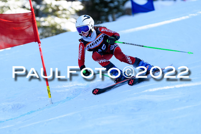 BSV Ziener Kids Cross Rennen 1 Region 3  U12 + ASV Reischmann Cup U12