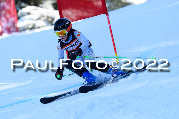 BSV Ziener Kids Cross Rennen 1 Region 3  U12 + ASV Reischmann Cup U12