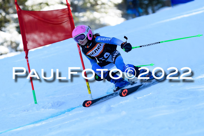 BSV Ziener Kids Cross Rennen 1 Region 3  U12 + ASV Reischmann Cup U12