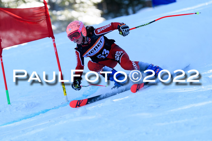 BSV Ziener Kids Cross Rennen 1 Region 3  U12 + ASV Reischmann Cup U12