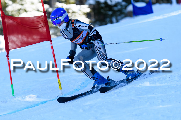 BSV Ziener Kids Cross Rennen 1 Region 3  U12 + ASV Reischmann Cup U12