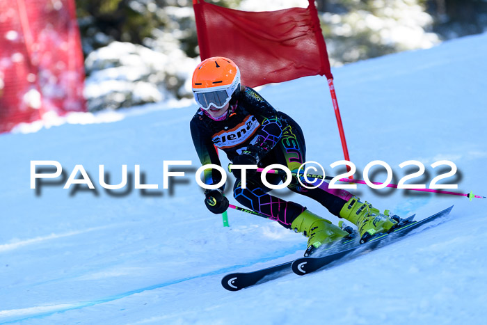 BSV Ziener Kids Cross Rennen 1 Region 3  U12 + ASV Reischmann Cup U12