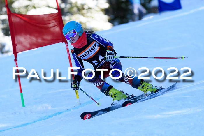 BSV Ziener Kids Cross Rennen 1 Region 3  U12 + ASV Reischmann Cup U12
