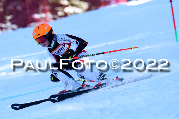 BSV Ziener Kids Cross Rennen 1 Region 3  U12 + ASV Reischmann Cup U12